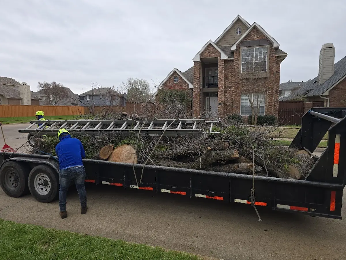 Expert Lot Clearing with proper safety equipment in Marlow